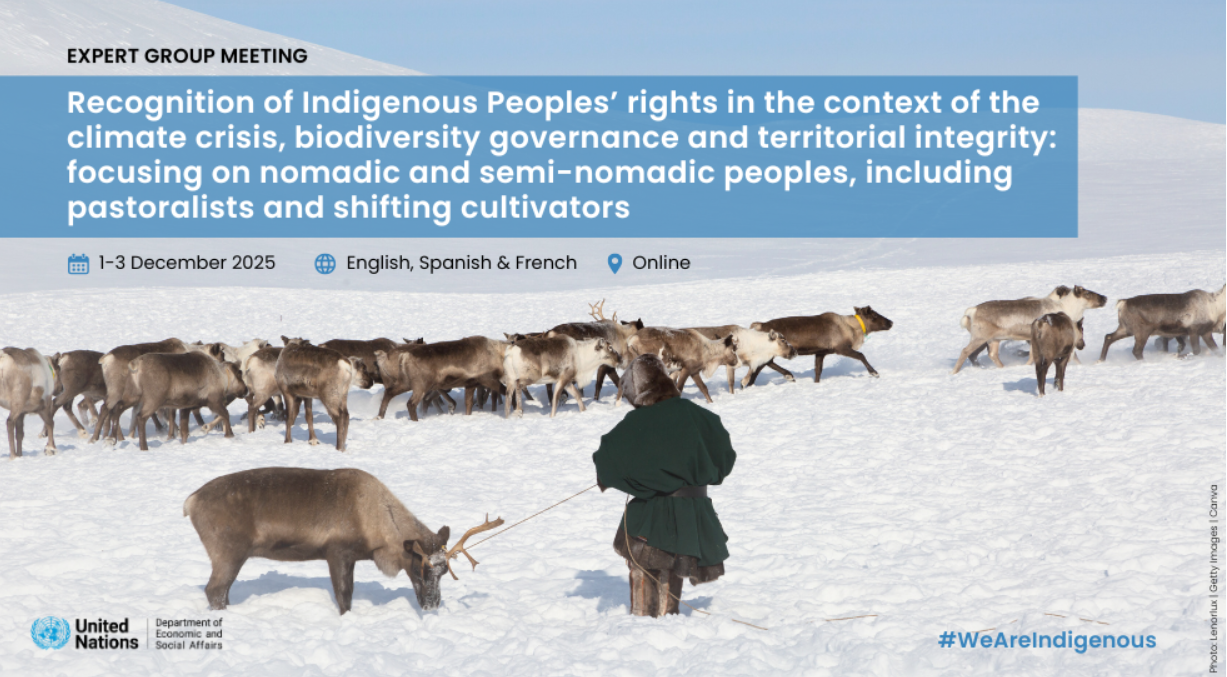 UN Expert Group Meeting — UNDESA-UNPFII